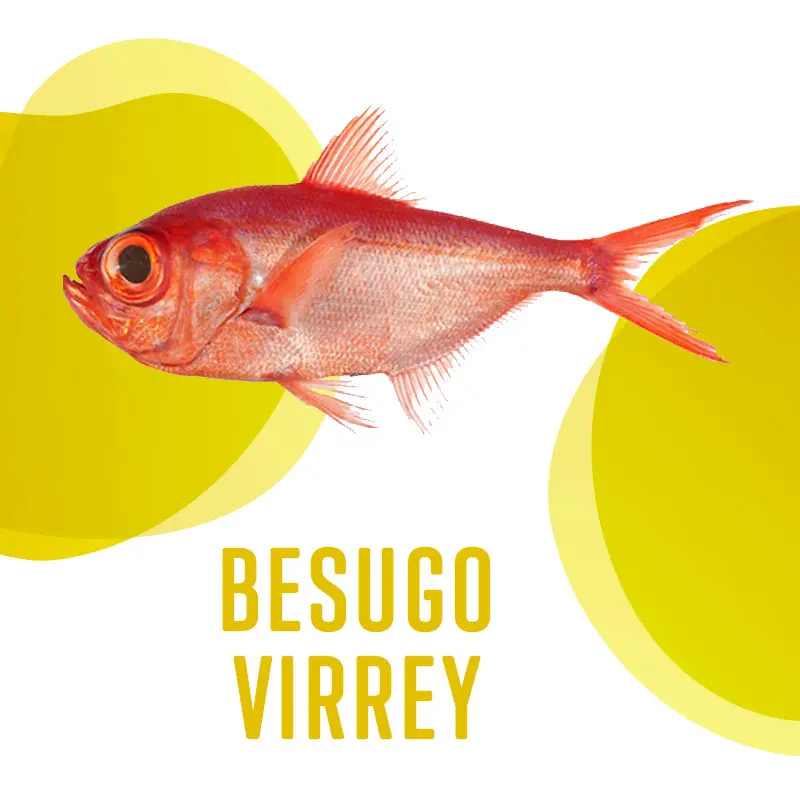 Besugo Virrey