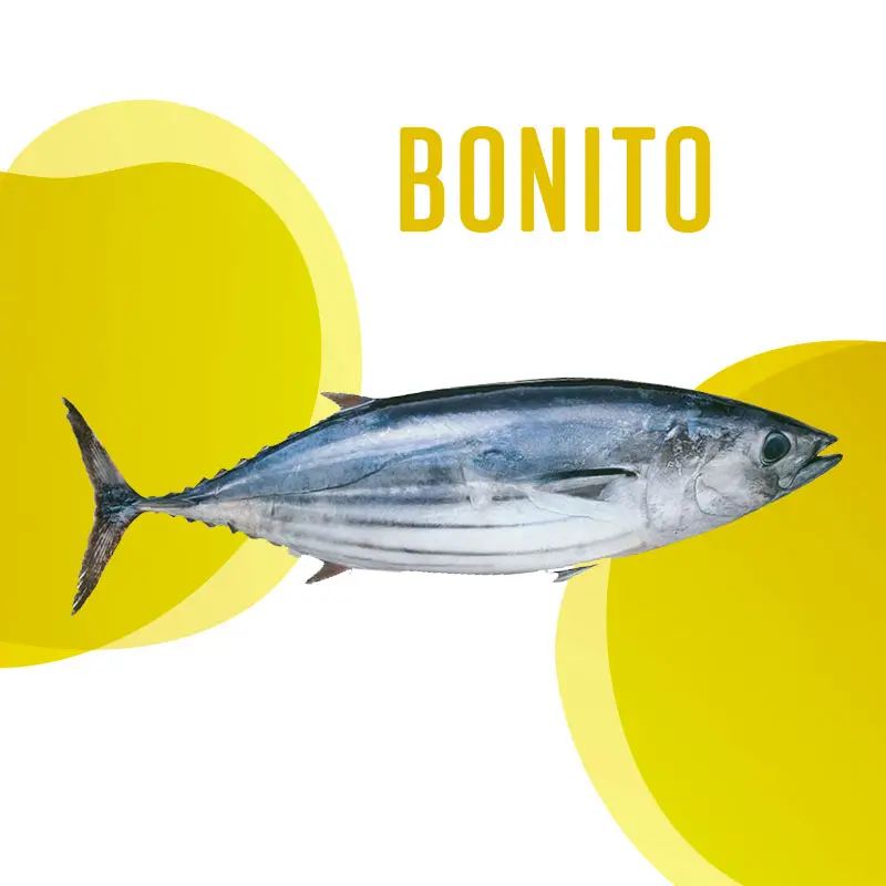 Bonito