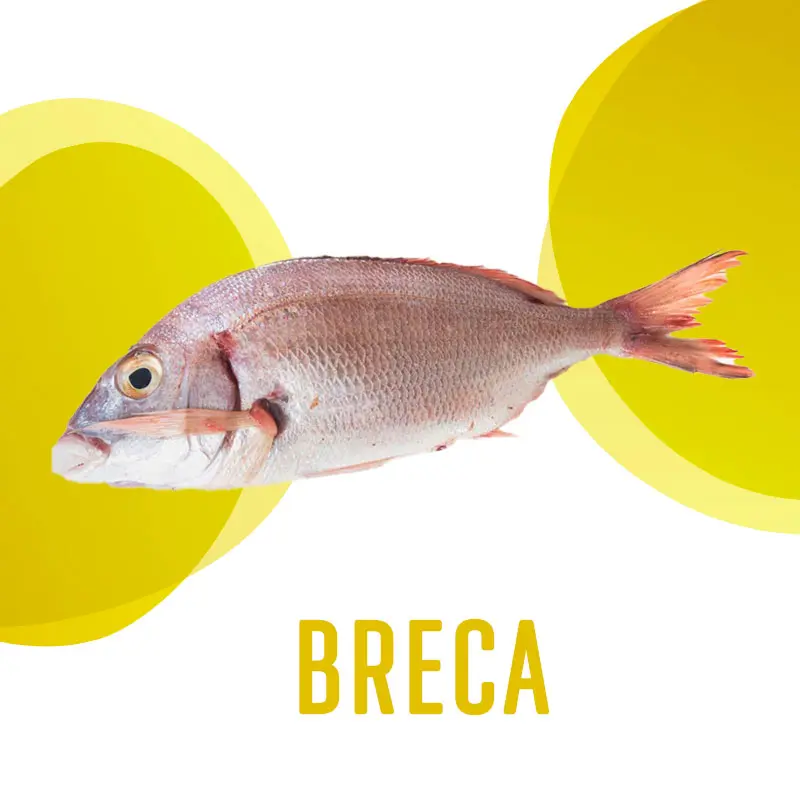 Breca