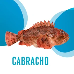 Cabracho