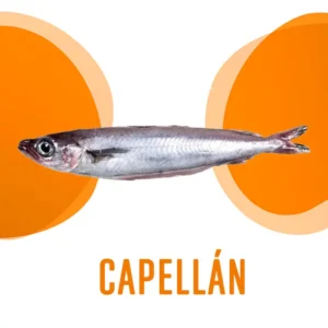 Capellan
