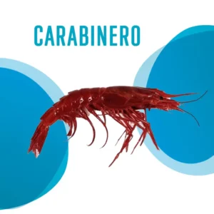 Carabinero