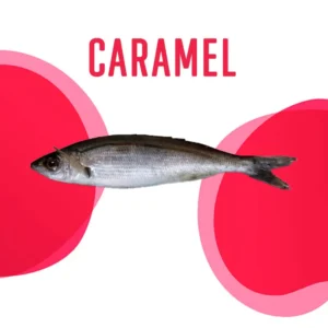Caramel