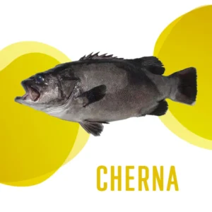 Cherna