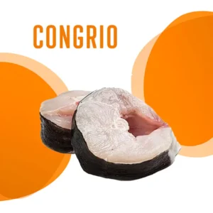 Congrio