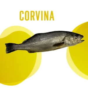 Corvina