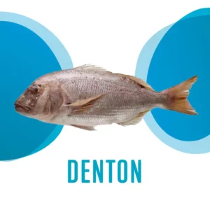Denton