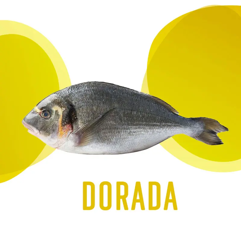 Dorada