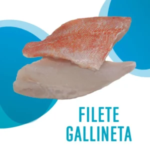 Filete Gallineta
