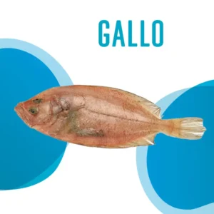 Gallo