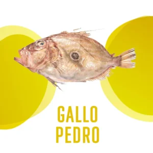 Gallo Pedro