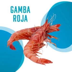 Gamba Roja