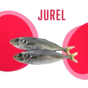 Jurel