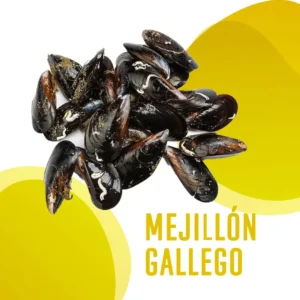 Mejillon Gallego