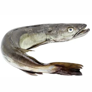 Merluza Pincho