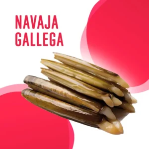 Navaja Gallega