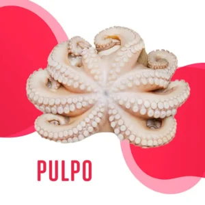 Pulpo