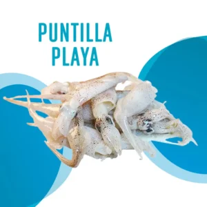 Puntilla Playa