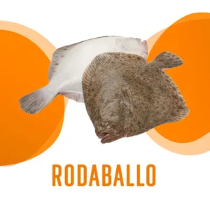Rodaballo