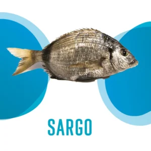 Sargo