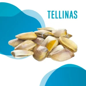 Tellinas